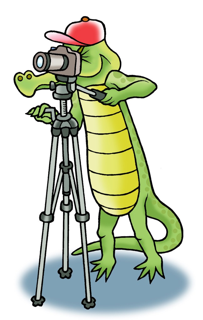 Croc tripod - Snapper